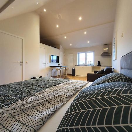 Brussels North - Pajot Apartments Wemmel Eksteriør billede